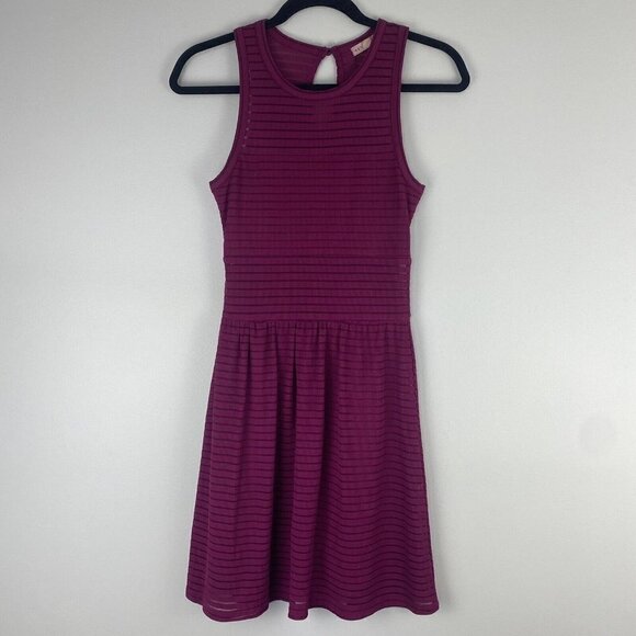 Socialite Women's Fit and Flare Barbiecore Dress Size S Pink Magenta Sheer - Picture 1 of 8